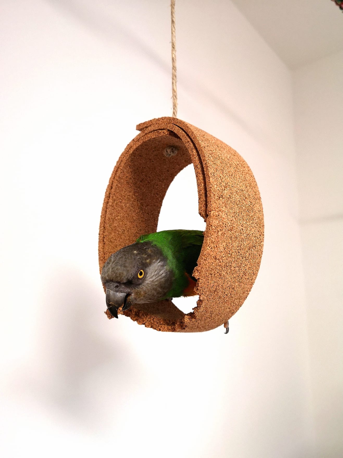 Papageien Schaukel aus Kork