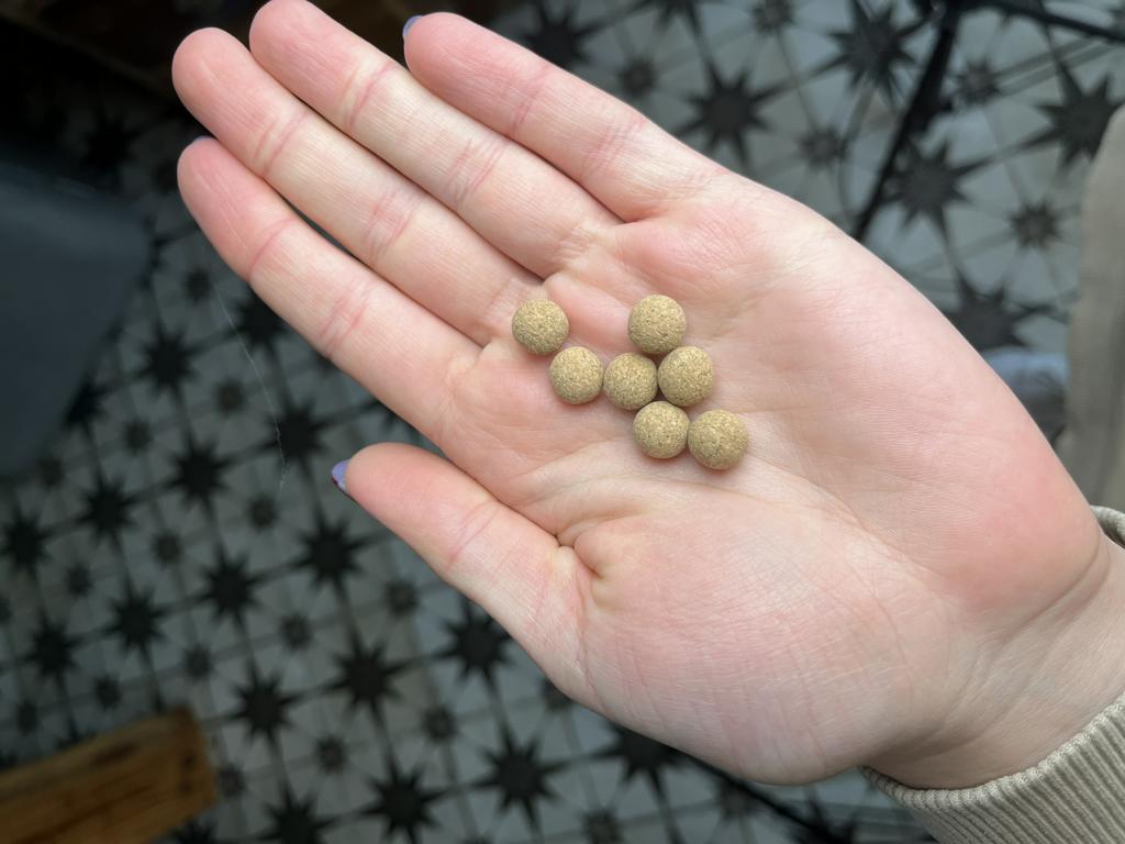 sehr kleine Kugeln aus Kork