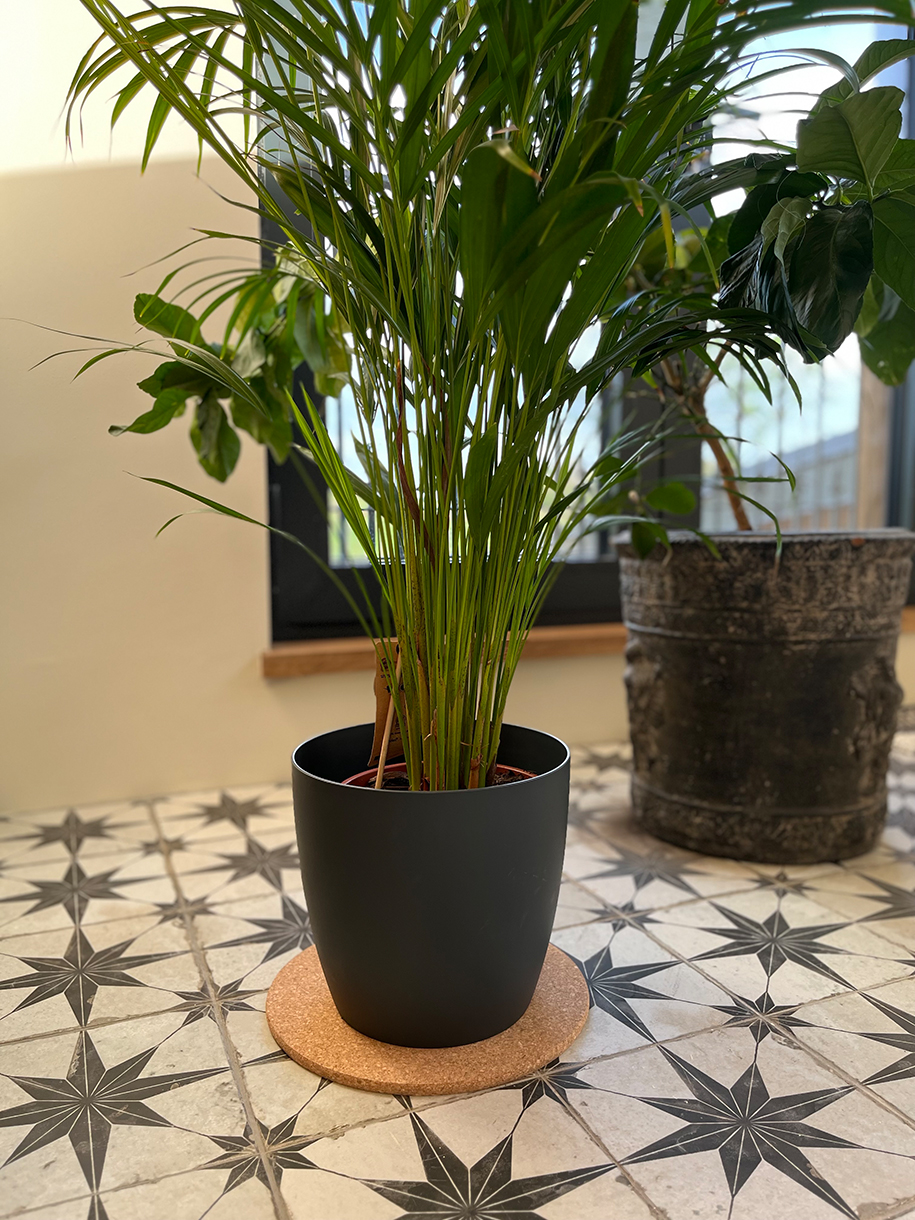 Topfuntersetzer aus Kork, sehr groß ⌀=30cm (Korkuntersetzer)